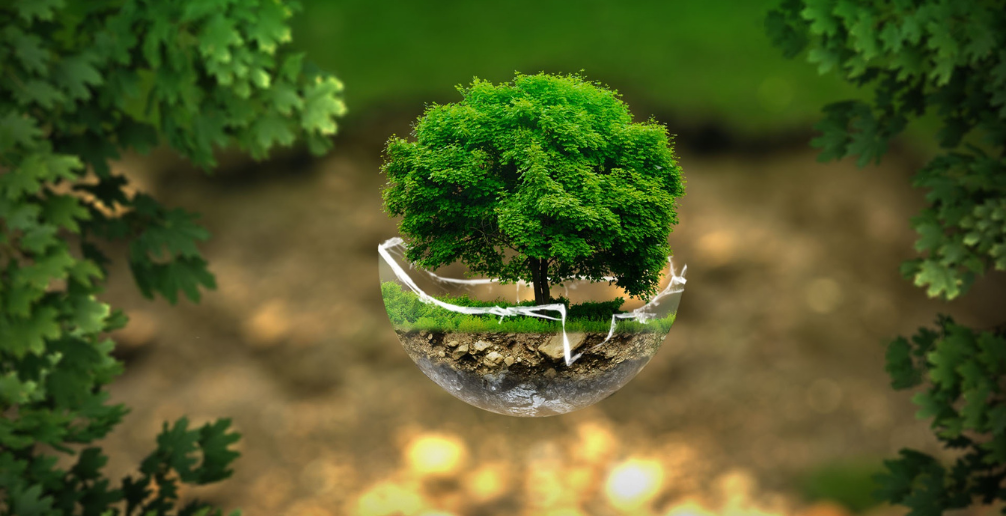 Leading-Sustainable-Innovation-Image-02